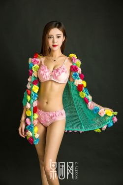 云之羽小说