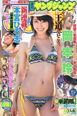 电视剧飞虎神鹰