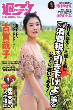 三国志11威力加强版